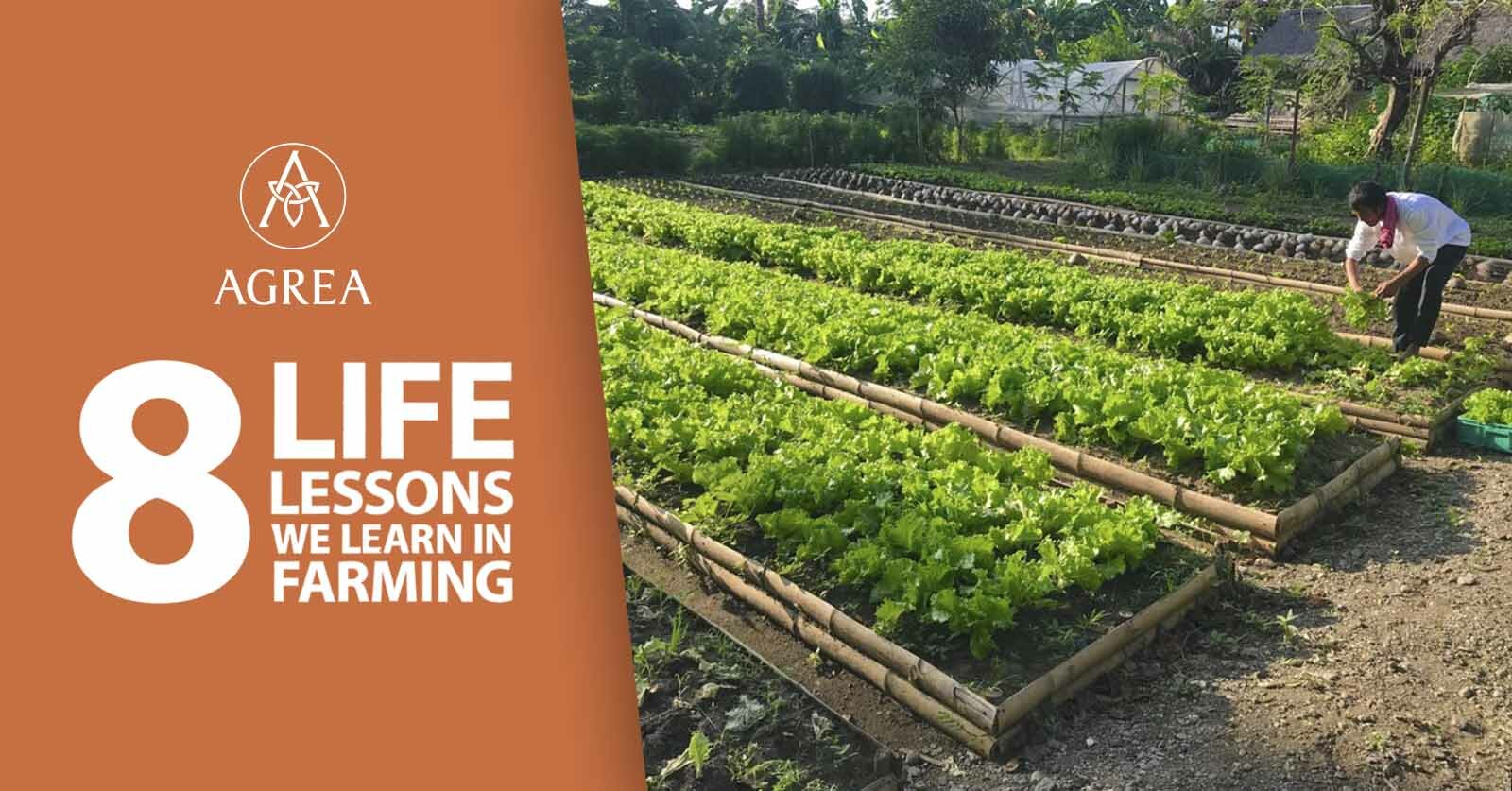 8 Life Lessons we Learn in Farming