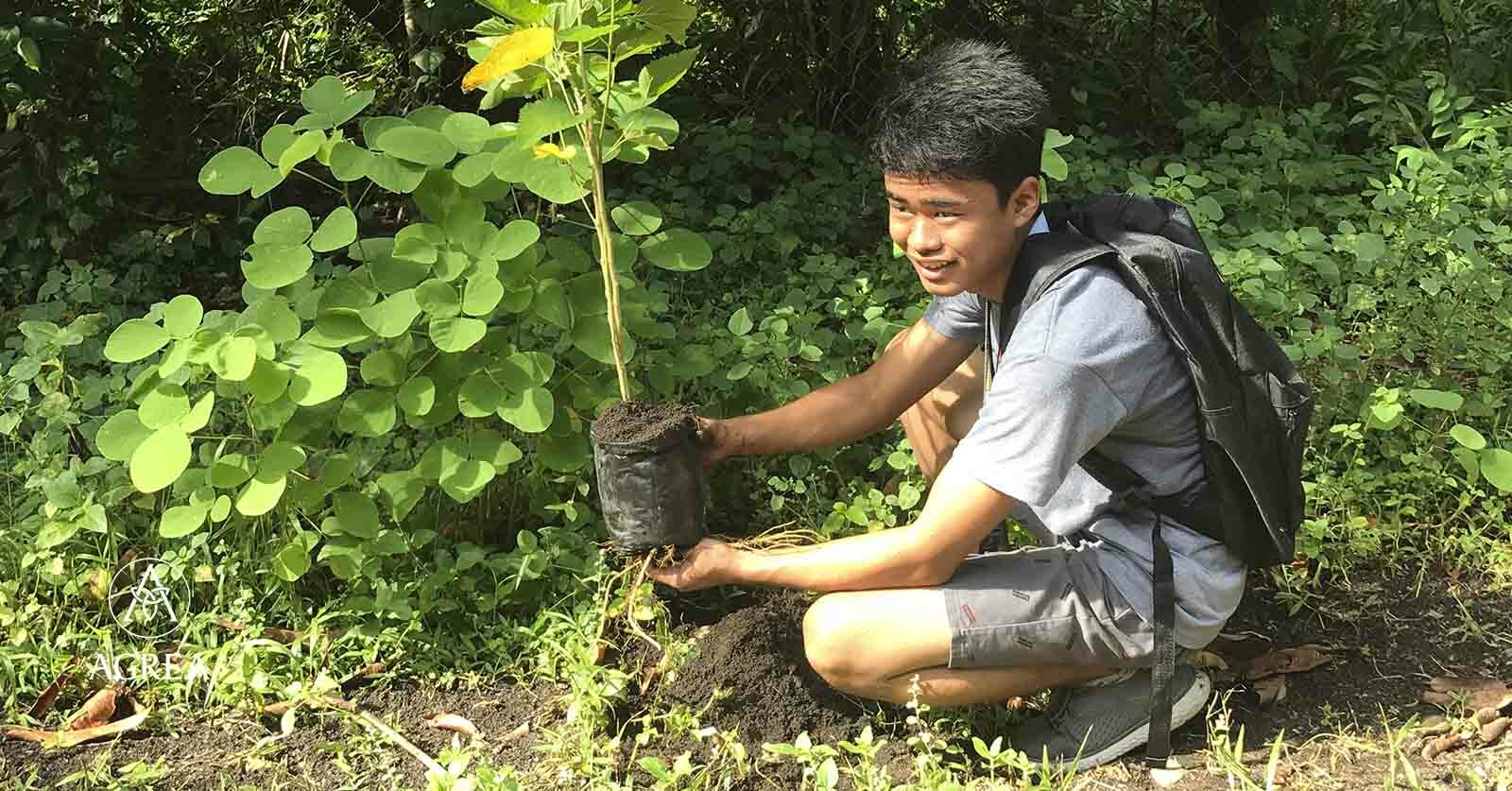 PH Law: Every Filipino is required to plant one tree each year
