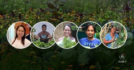 Boac Community Garden Contest mini competition winners announced